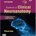Neuroanatomy